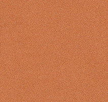 Линолеум IVC Corsa Marras T64 фото 1 | FLOORDEALER